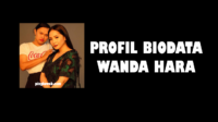 profil biodata wanda hara