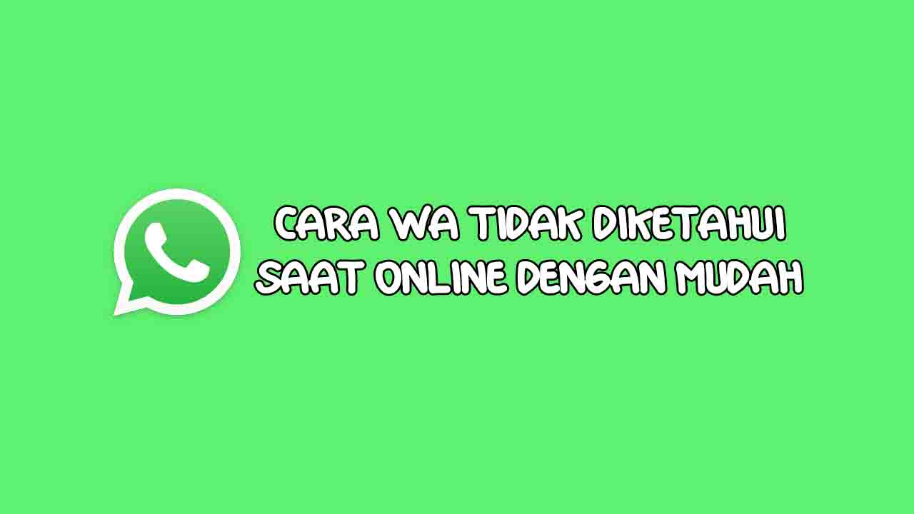 cara wa tidak diketahui saat online