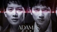 download drama korea adamas sub indo