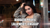 biodata profil lala widy